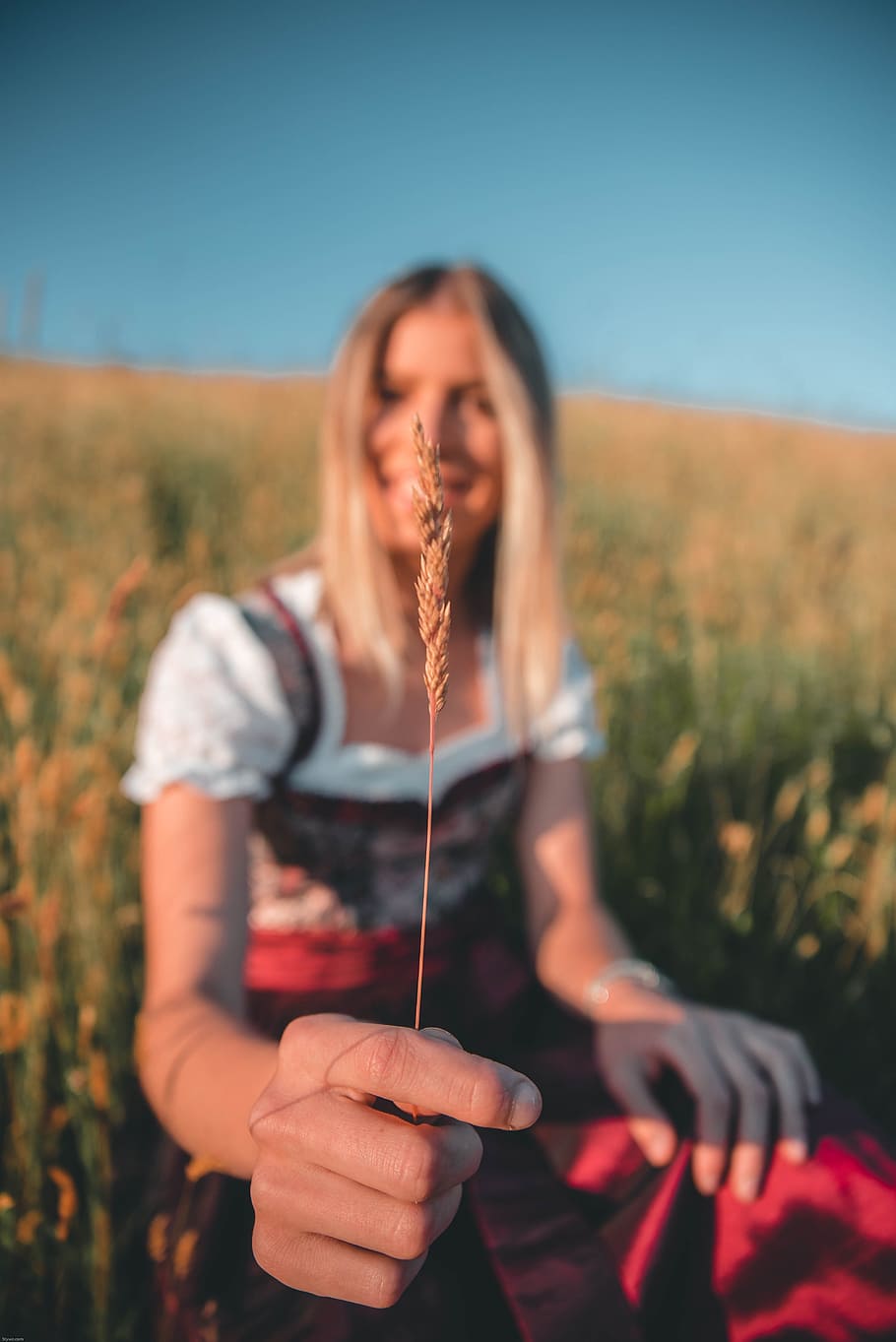 Selective Focus Photography Of Woman Holding Wheat, corn field HD wallpaper