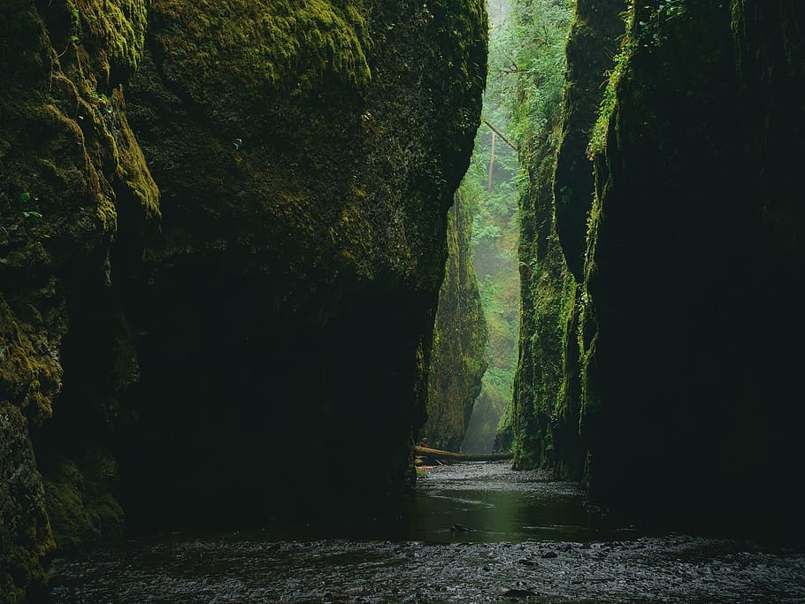 nature, rock, formation, water, river, aesthetic, flow, trees