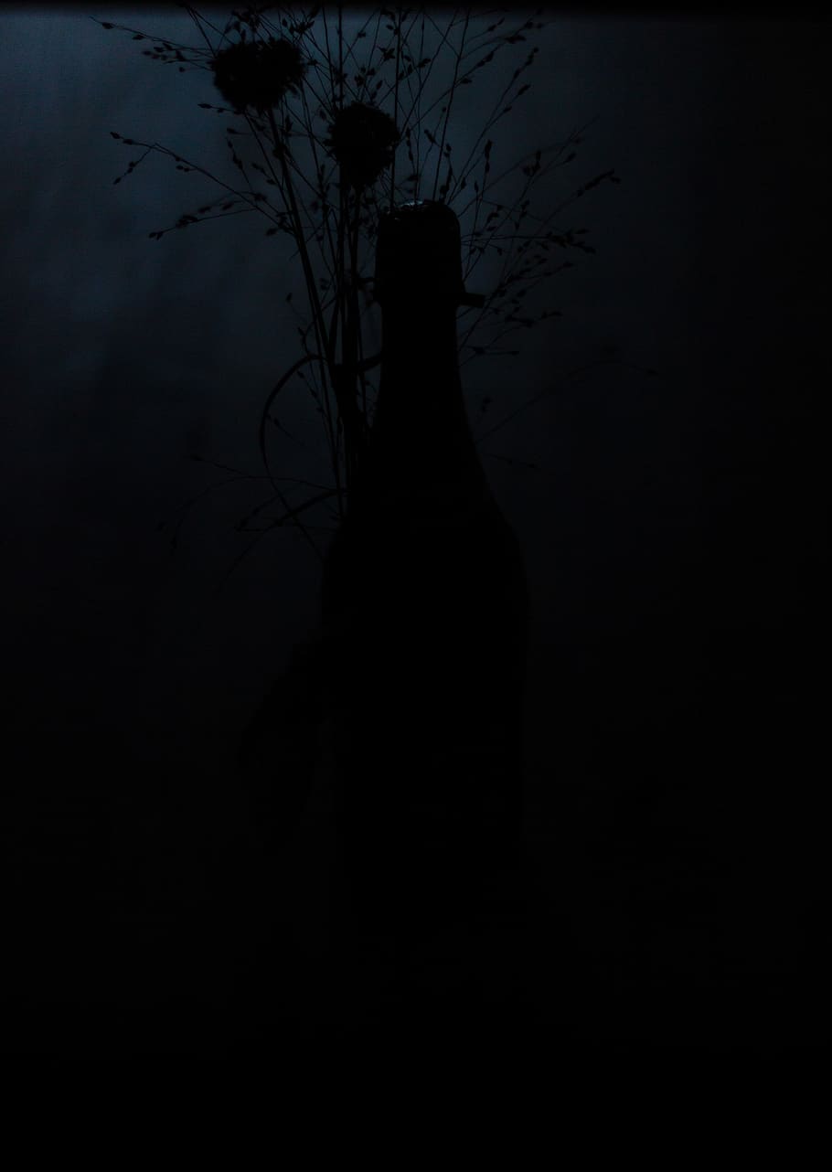 straw, wine, bottle, dark, moody, silhouette, no people, studio shot HD wallpaper