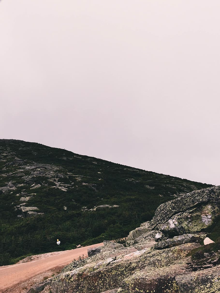 mt washington, rocks, trees, forest, mountain, lost, sky, beauty in nature HD wallpaper