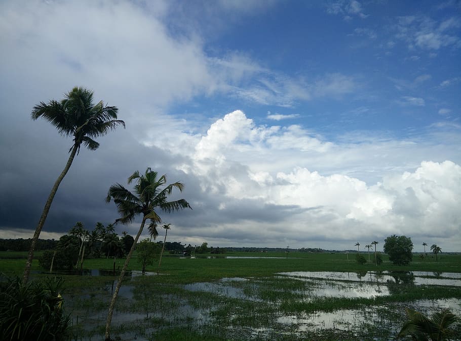 india, paravur, sky, clouds, motion, nature, earth, trees, kerala HD wallpaper