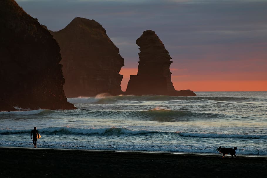person standing on shore, surf, wave, sunset, coast, beach, dog HD wallpaper