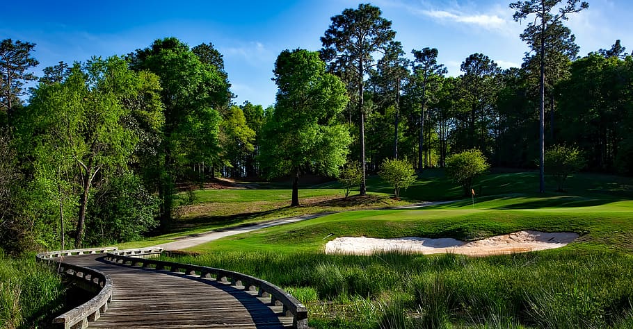 Green Leave Trees Across Green Grass Lawn during Daytime, golf course HD wallpaper