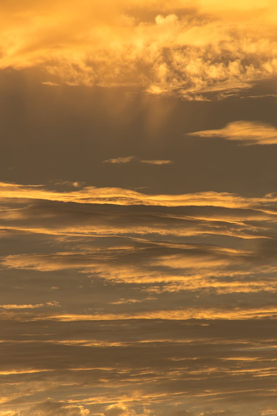 sunset, sky, orange, grey, clouds, layered, horizon, trees HD wallpaper