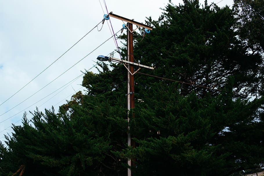 trees, light, lightpost, plant, cable, sky, electricity, low angle view HD wallpaper