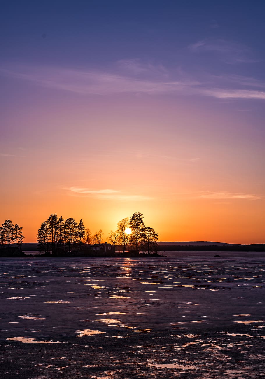 nature, sunset, outdoors, dusk, sky, red sky, dawn, sunlight HD wallpaper