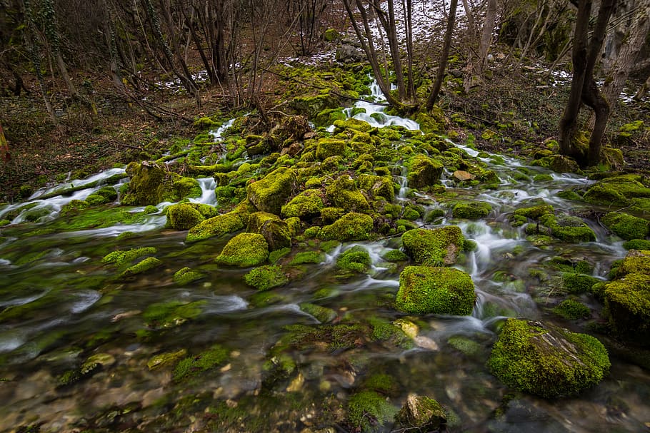 Flowing River and Moss Covered Rocks, creek, daytime, environment HD wallpaper