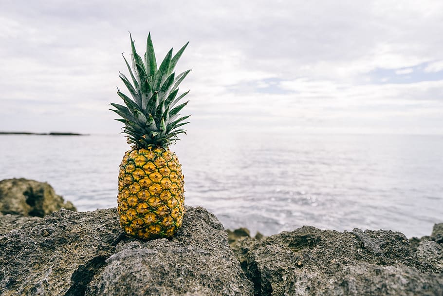 pineapple, dessert, appetizer, fruit, juice, crop, rock, nature HD wallpaper