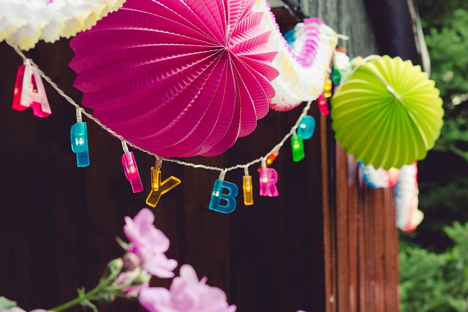 party, plant, hanging, flower, flowering plant, nature, multi colored HD wallpaper
