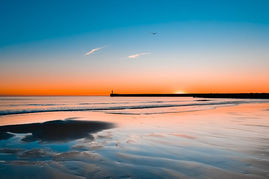 Scenic View Of Ocean During Sunset, beach, clouds, dawn, horizon HD wallpaper