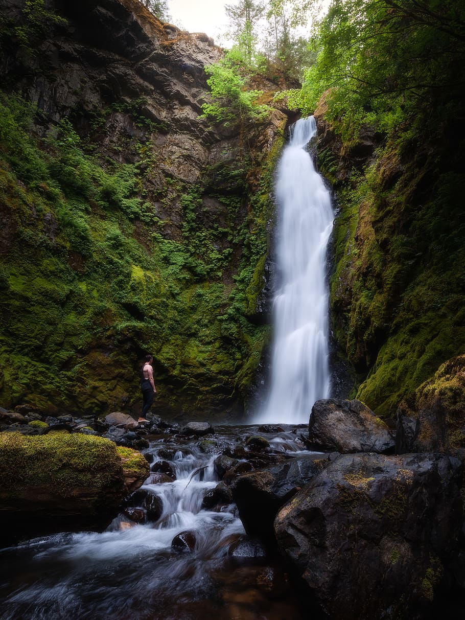 forest, tree, person, canyon, water, travel, explore, landscape HD wallpaper