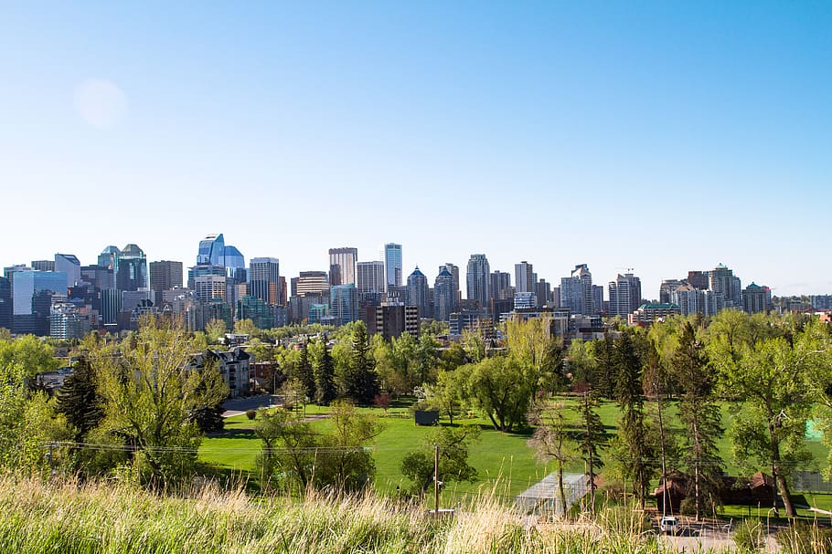 calgary, canada, skyline, background, trees, building exterior, HD wallpaper