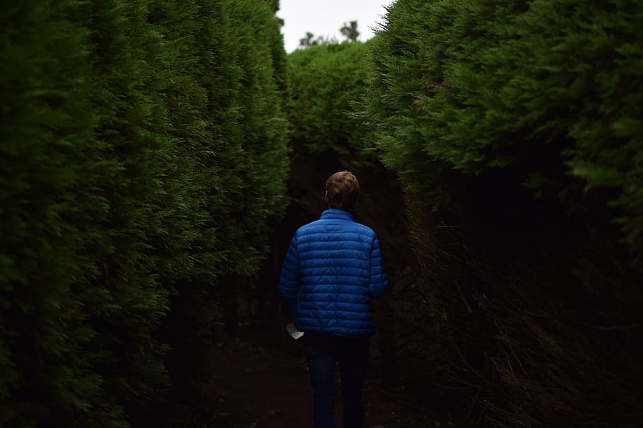 people, guy, alone, walking, green, trees, plant, nature, farm HD wallpaper