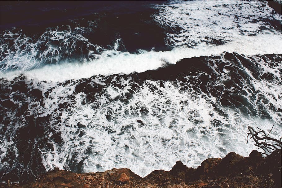 ocean, sea, waves, coast, water, aquatic sport, motion, surfing HD wallpaper