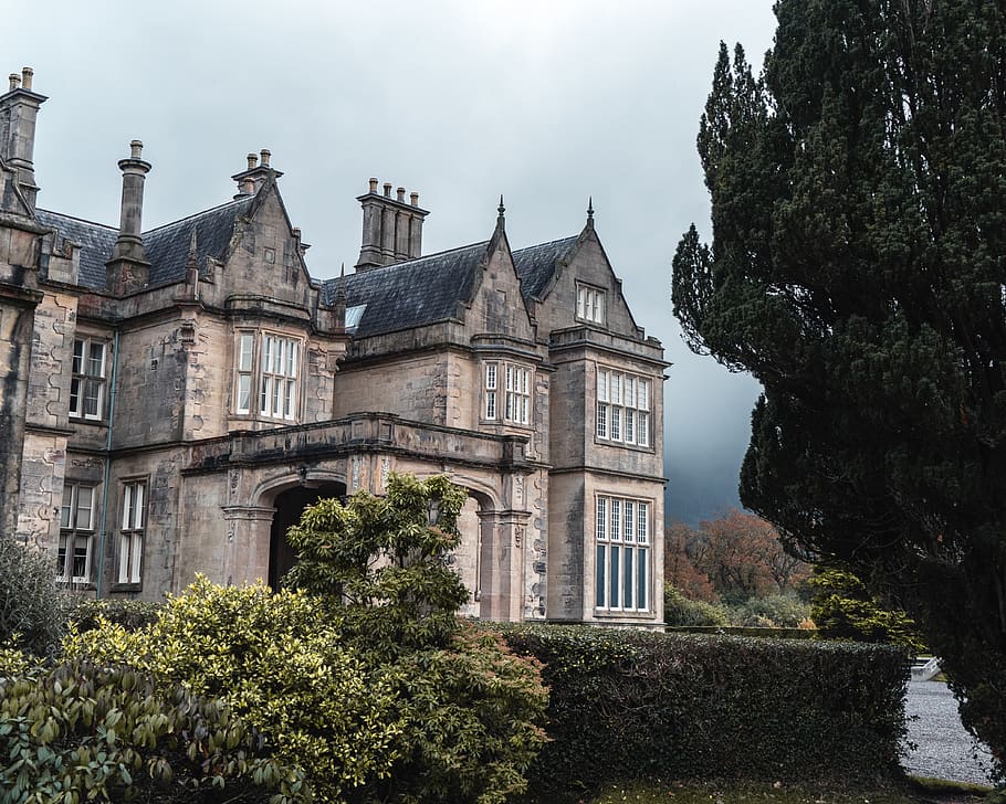 killarney, muckross house, ireland, gardens, national park, HD wallpaper