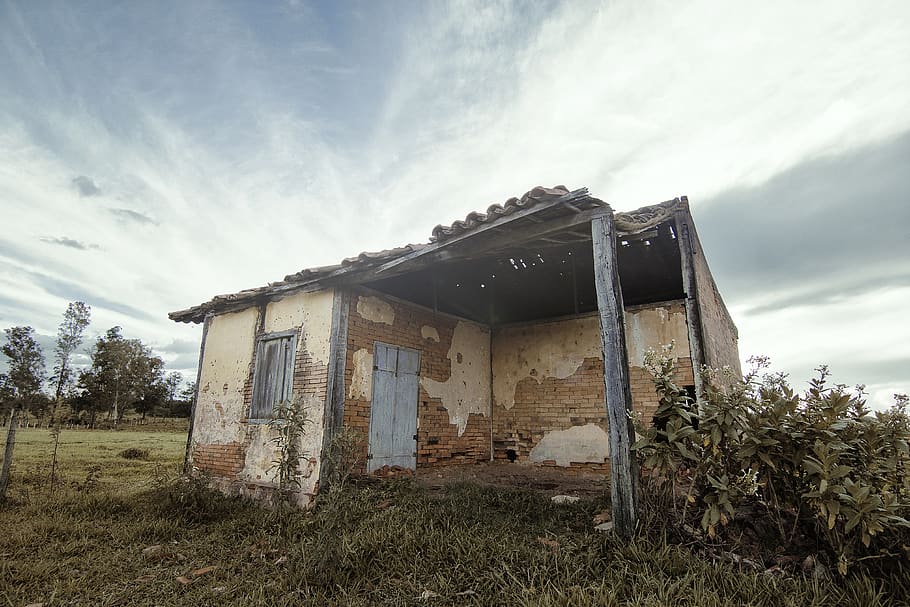 brazil, pereiras, abandoned, field, campo, interior, old, grass, HD wallpaper