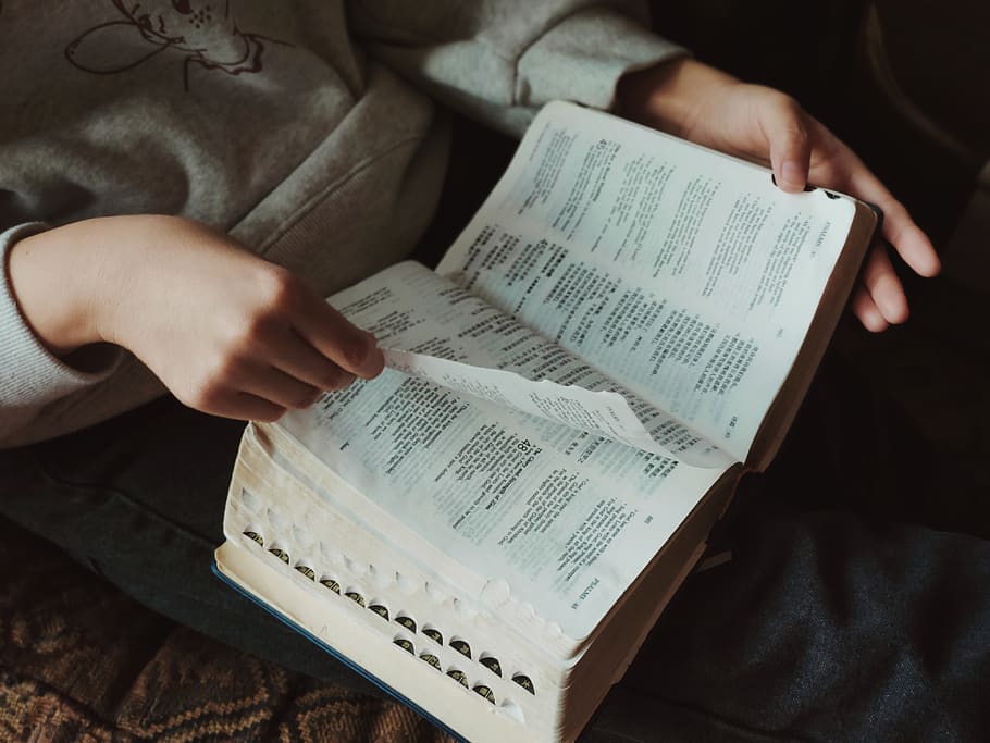 person holding book, publication, one person, real people, paper HD wallpaper