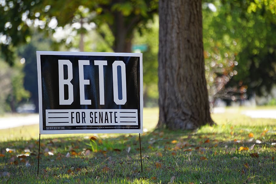 Beto for senate signage, street sign, road sign, outdoors, conifer HD wallpaper