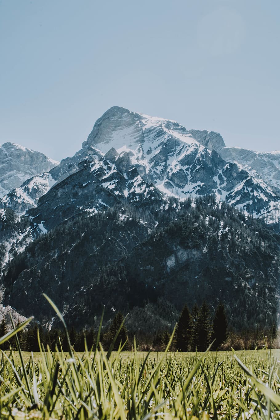 Snowcapped Mountain, environment, grass, landscape, nature, outdoors HD wallpaper