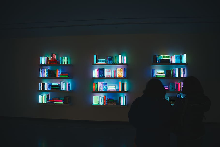 find, learning, books, rear view, lifestyles, real people, indoors HD wallpaper