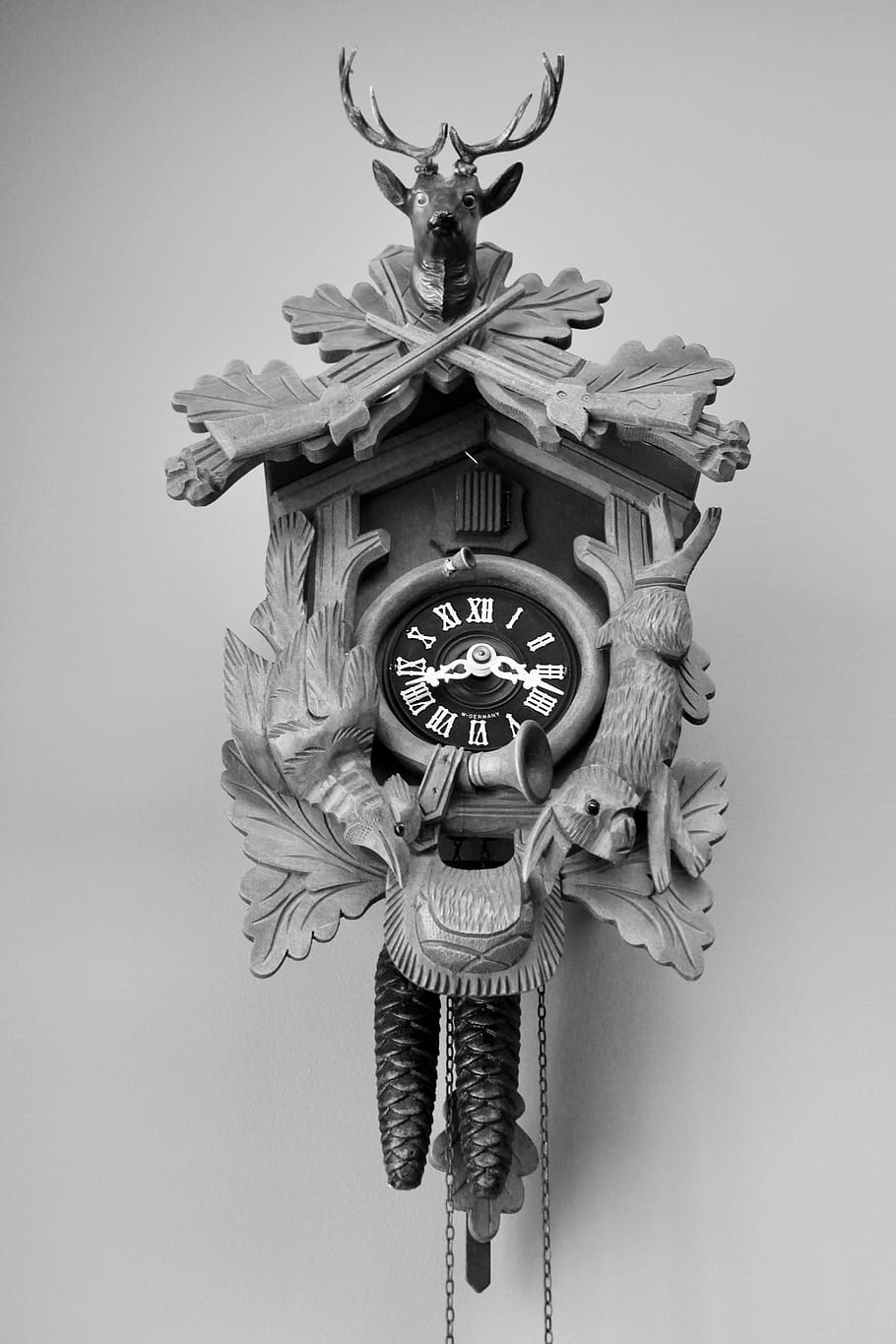 clock, time, cuckoo clock, nature, wildlife, wall clock, wood
