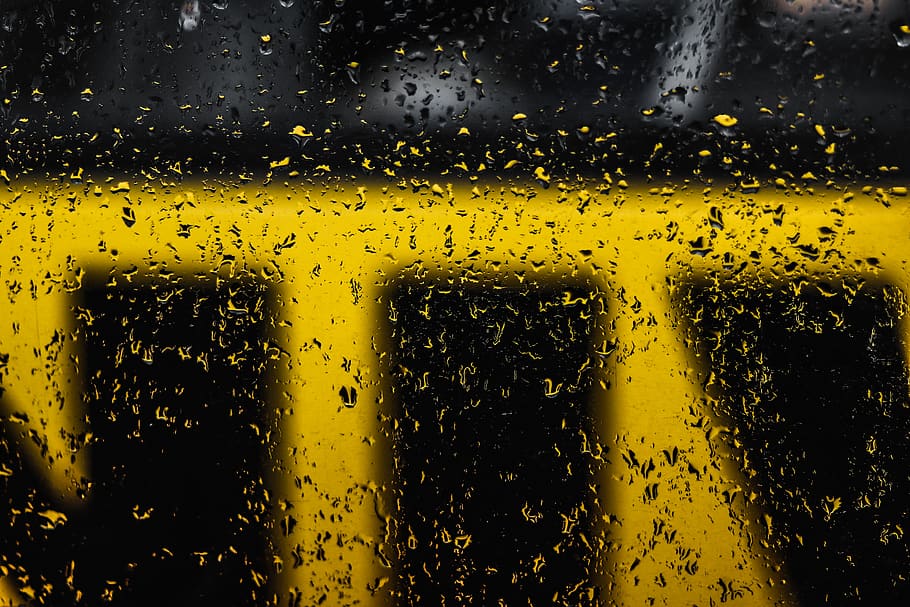beverage, drink, alcohol, beer, glass, droplet, lager, window HD wallpaper