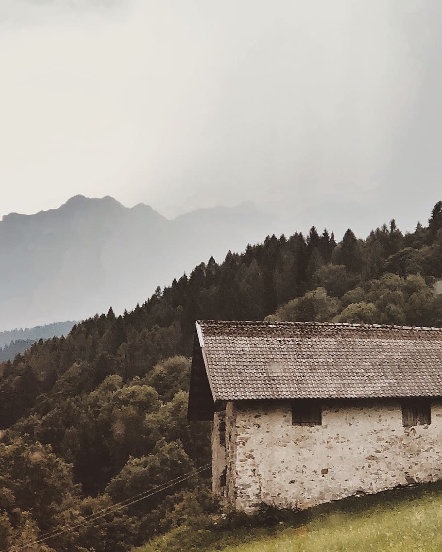 forest, trees, mountain, mist, roof, old house, fog, italy HD wallpaper
