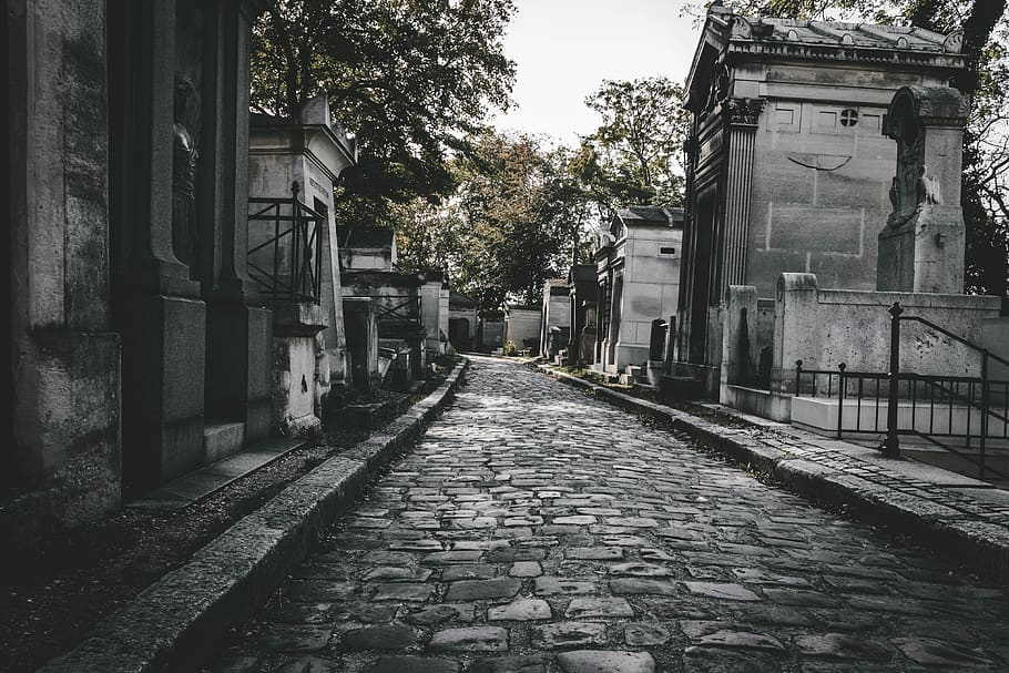 cemetery, person, human, people, city, paris, france, building HD wallpaper