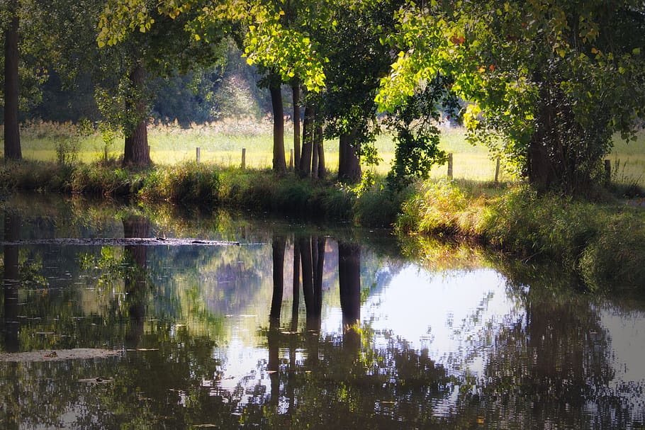 river, trees, nature, landscape, water, idyllic, reflections HD wallpaper