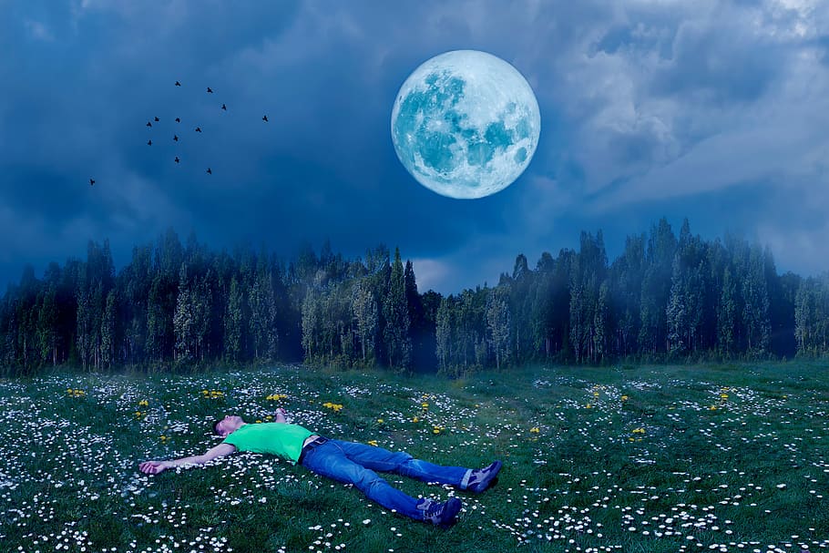 sleep, good night, man, person, in the, full moon, moonlight, HD wallpaper