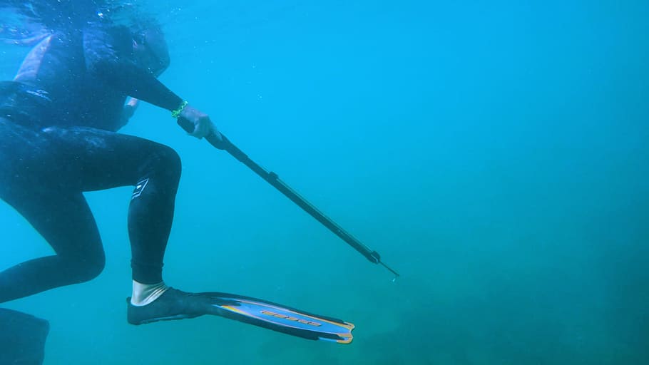 Diver Holding Speargun, active, adventure, blue waters, deep, HD wallpaper