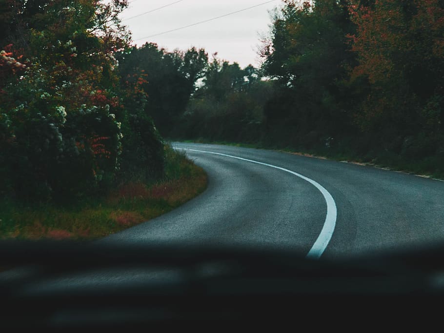 drive, road, fall, autumn, forest, wood, car, driving, nature HD wallpaper