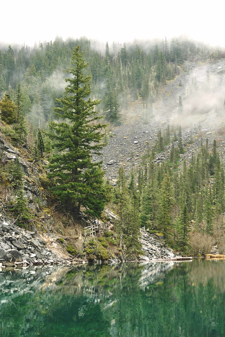 rocks, green, canada, bc, chilliwack, hiking, mountain, evergreens, HD wallpaper