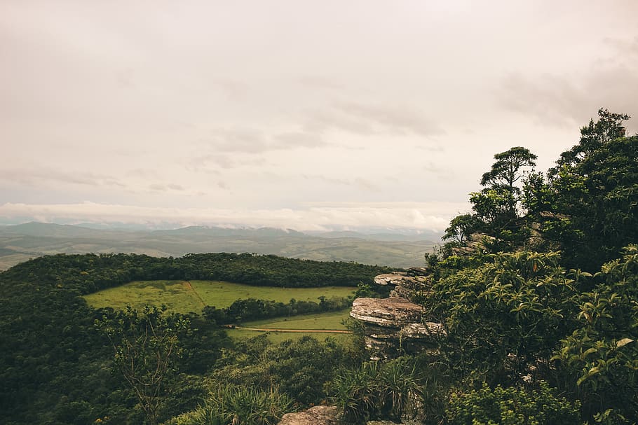 Landscape Photography of a Green Forest With Mountains, cliff HD wallpaper