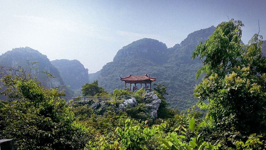 china, liuzhou, path, stairs, trees, forest, ancient, old, structure, HD wallpaper