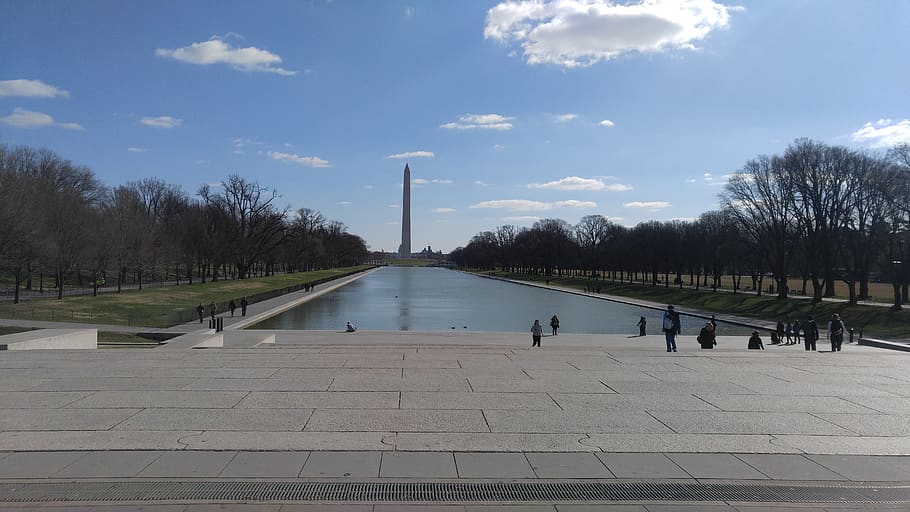 washington, monument, dc, lincoln, reflecting pool, tree, government HD wallpaper