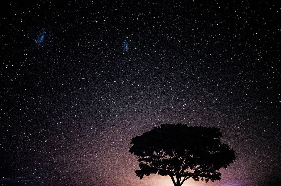 sky, stars, flying, space, universe, night, dark, astronomy HD wallpaper