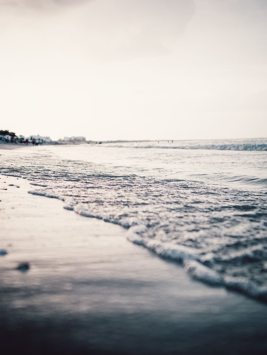Close-up of Shoreline, beach, dawn, grayscale, landscape, low angle shot HD wallpaper