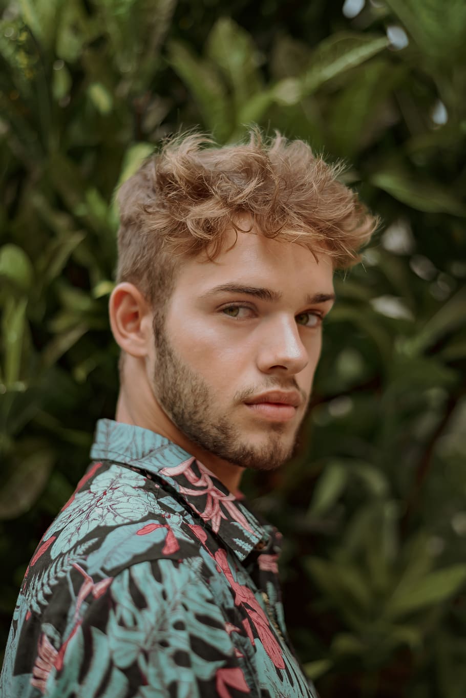 Man in Black and Blue Collared Shirt Standing Near Green Leaf