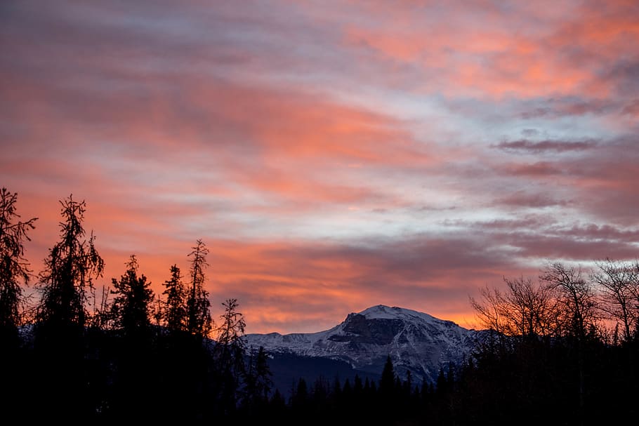 mountain range, tree, plant, abies, fir, nature, sunset, outdoors HD wallpaper
