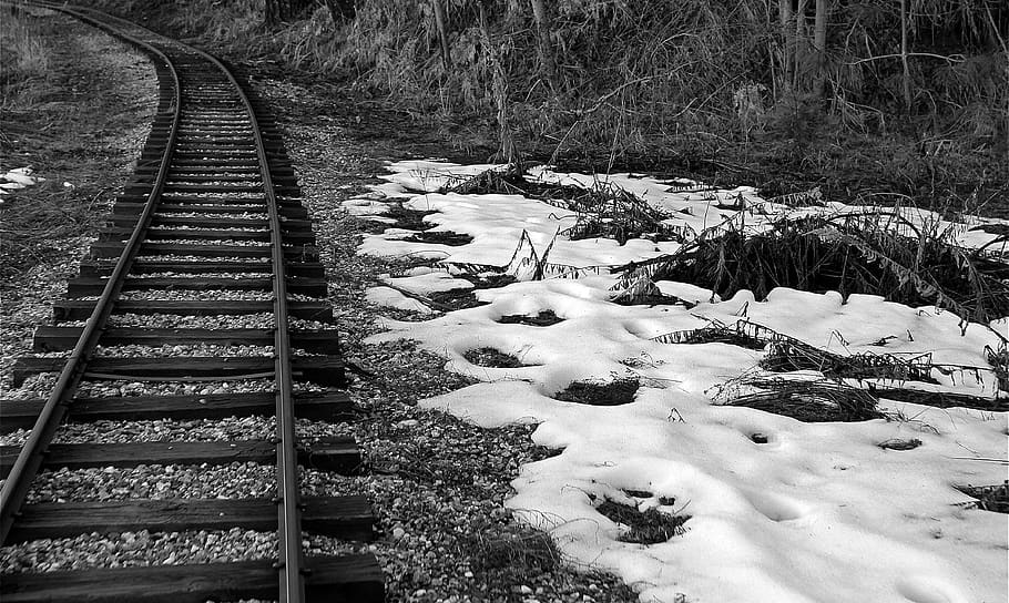snow, train, tracks, traintracks, trains, train tracks, trees, HD wallpaper