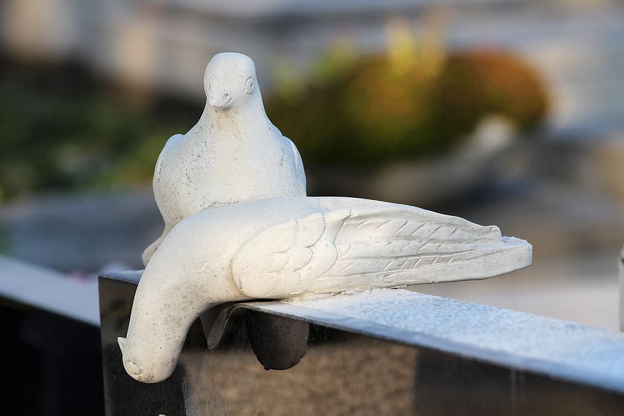 white doves, monument, cemetery, gravestone, outdoor, bird