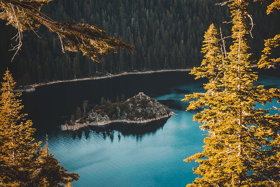 blue, lake, water, trees, plant, nature, forest, sunny, sunlight HD wallpaper
