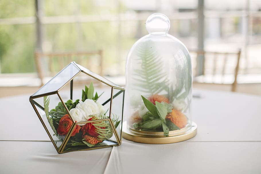 two clear glass table ornaments on table, container, plant, bottle HD wallpaper