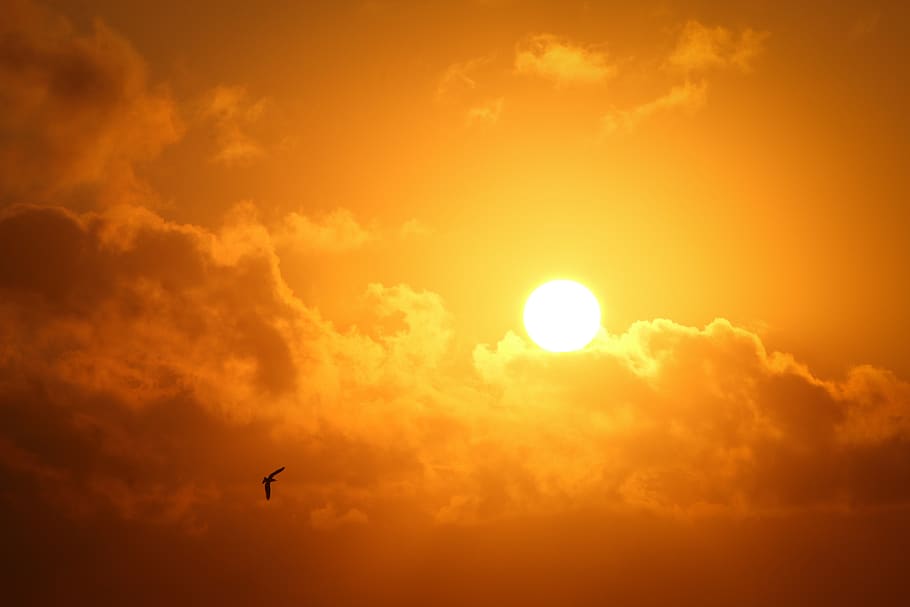 Sunset, clouds, dawn, nature, sky, sunrise, cloud - sky, flying HD wallpaper