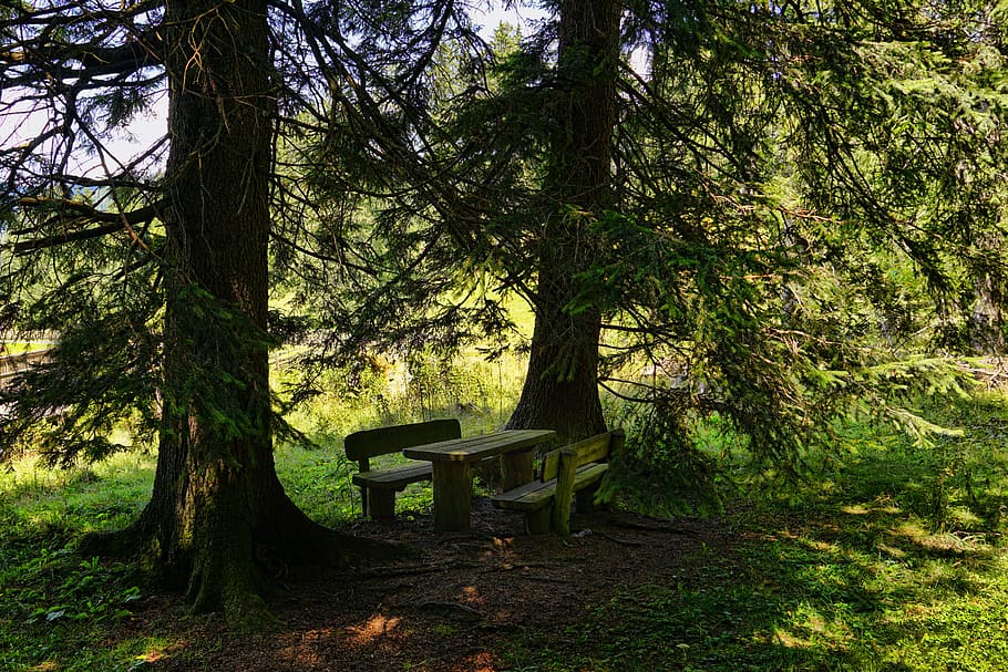 Resting place. Маленький домик в тени деревьев. Сиденье в лесу. Пустое место с деревьями. Скамейка на природе фото.