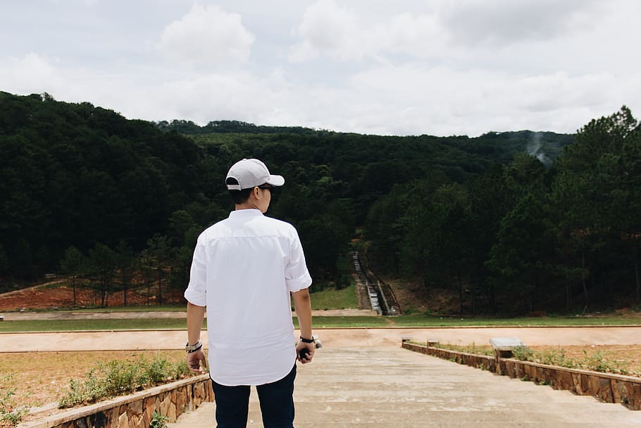 back, view, man, people, forest, tree, love, sky, real people HD wallpaper