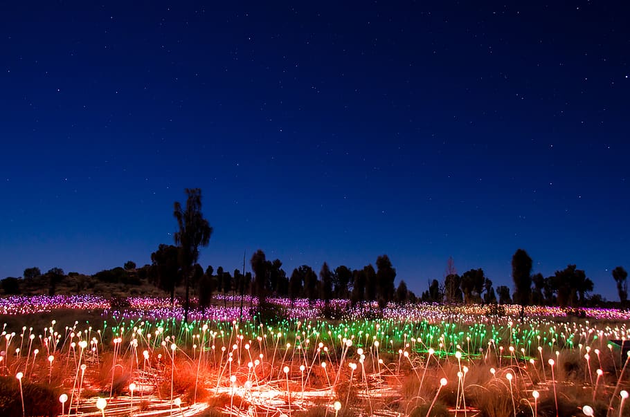australia, yulara, lights, colour, field of lights, night, long exposure HD wallpaper