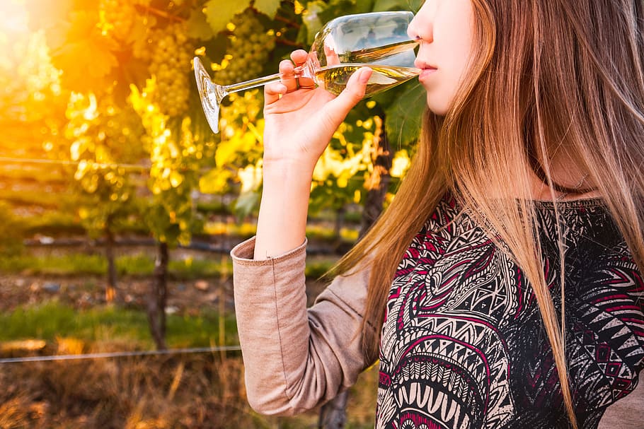 Gorgeous brunette woman having wine fun in the vineyards, women HD wallpaper