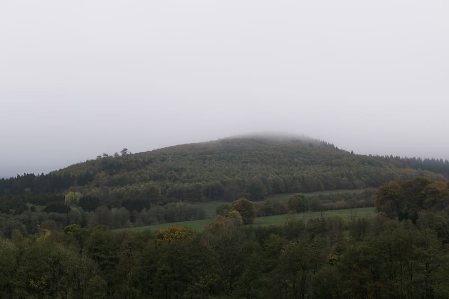 germany, hessen, trees, nature, misty, autumn, mountain, hill